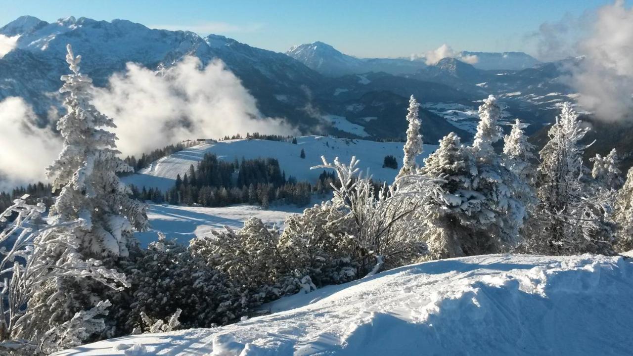 Fesengut Hotel Annaberg im Lammertal Eksteriør billede