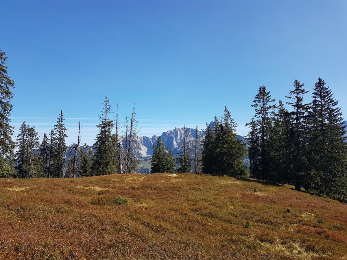 Fesengut Hotel Annaberg im Lammertal Eksteriør billede