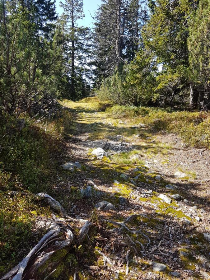 Fesengut Hotel Annaberg im Lammertal Eksteriør billede