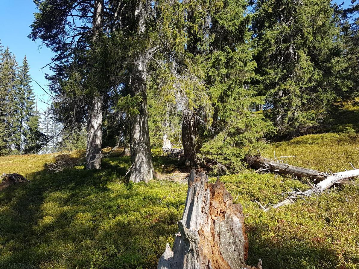 Fesengut Hotel Annaberg im Lammertal Eksteriør billede