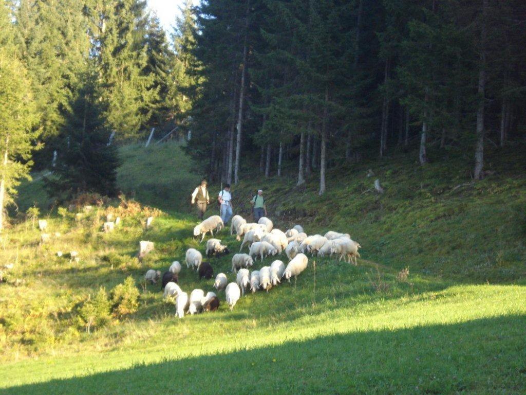 Fesengut Hotel Annaberg im Lammertal Eksteriør billede