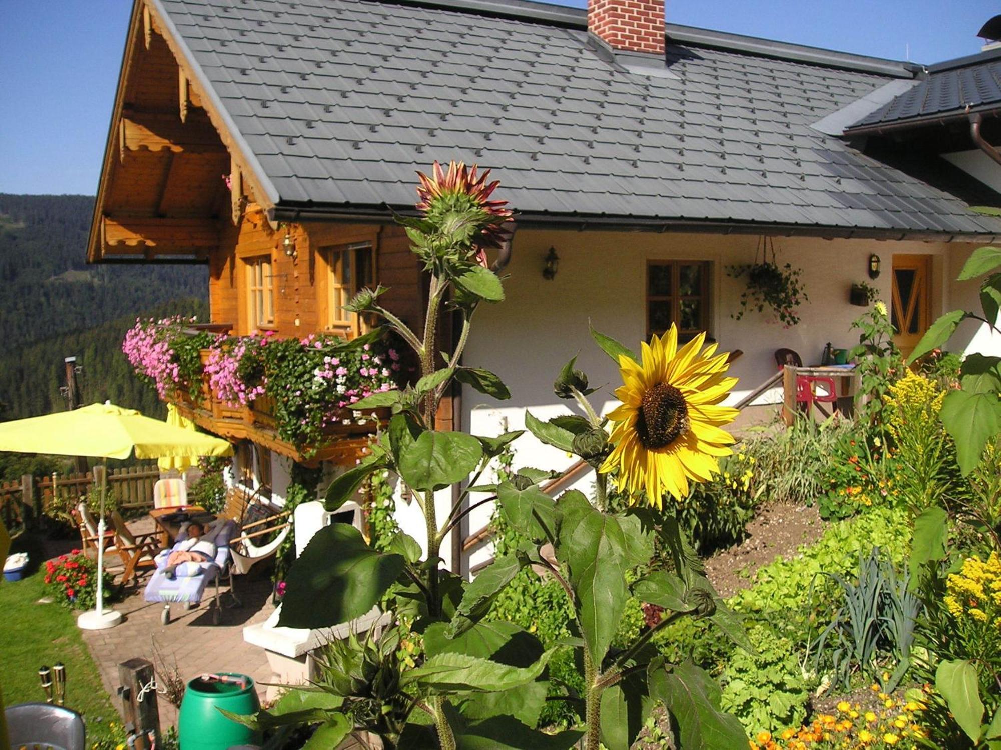 Fesengut Hotel Annaberg im Lammertal Eksteriør billede